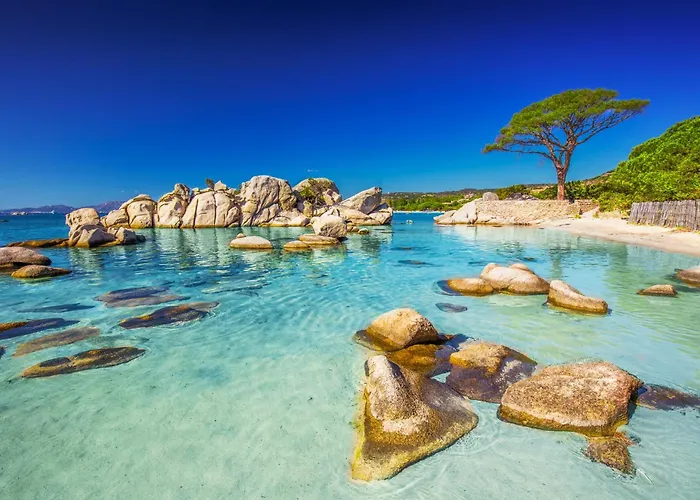 4 Pers Vue Sur La Baie De Santa Giulia Porto-Vecchio (Corsica)