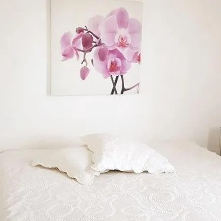 4 Pers Vue Sur La Baie De Santa Giulia *