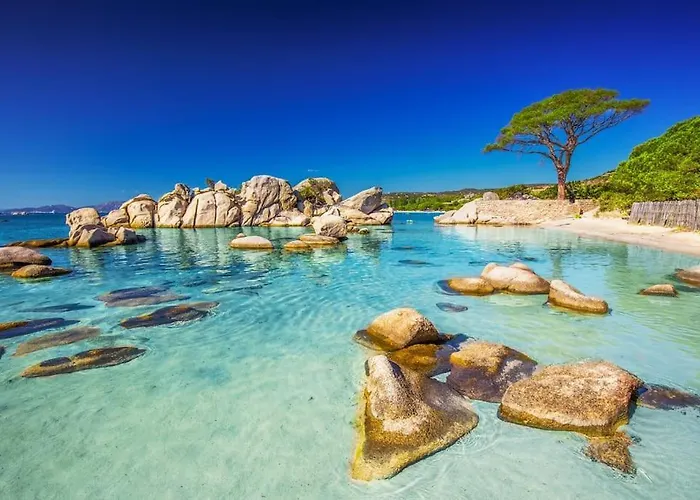 Appartamento 4 Pers Vue Sur La Baie De Santa Giulia